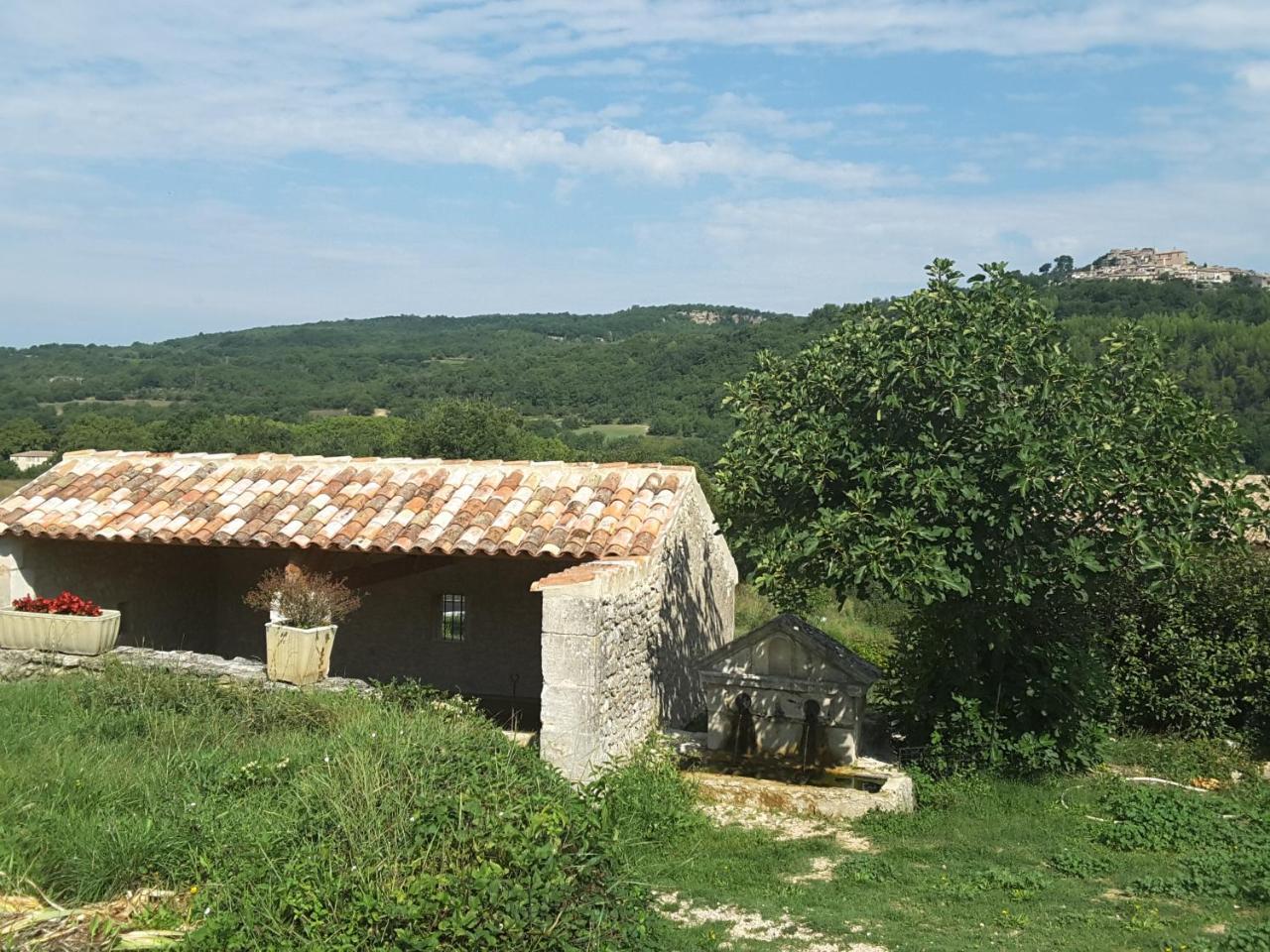 La Boissetane, Maison Provencale Avec Piscine Et Jardin, Au Pied Du Luberon Saint-Martin-de-Castillon Ngoại thất bức ảnh